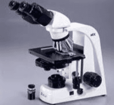 Mold Analysis in Hot Springs, AR