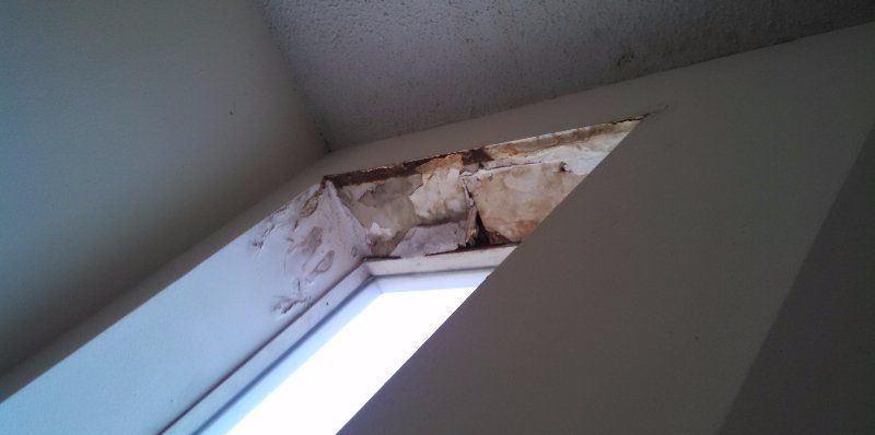 mold & bacteria testing, Little Rock AR