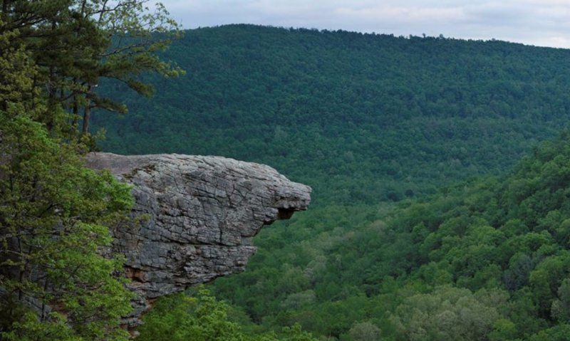 Environmental Litigation Support Hot Springs