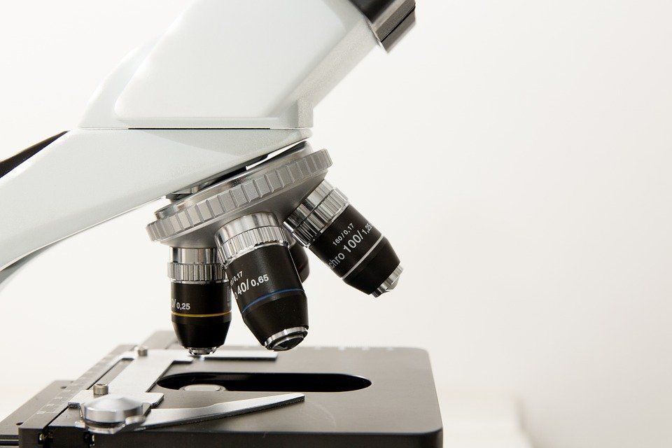 Food safety & testing