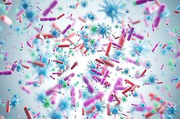 Introduction to Viruses