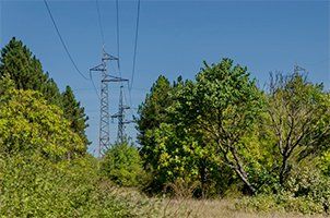 cutting in forest with electric power transmission line woodpecker tree services cutting in forest with electric power transmission line