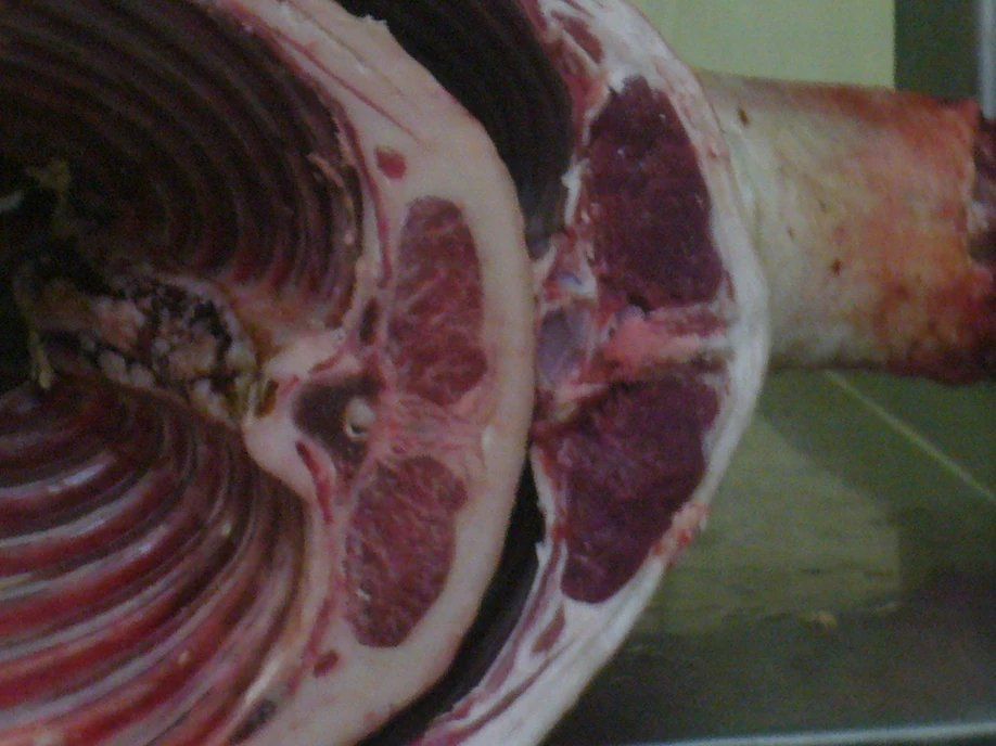 meat lamb