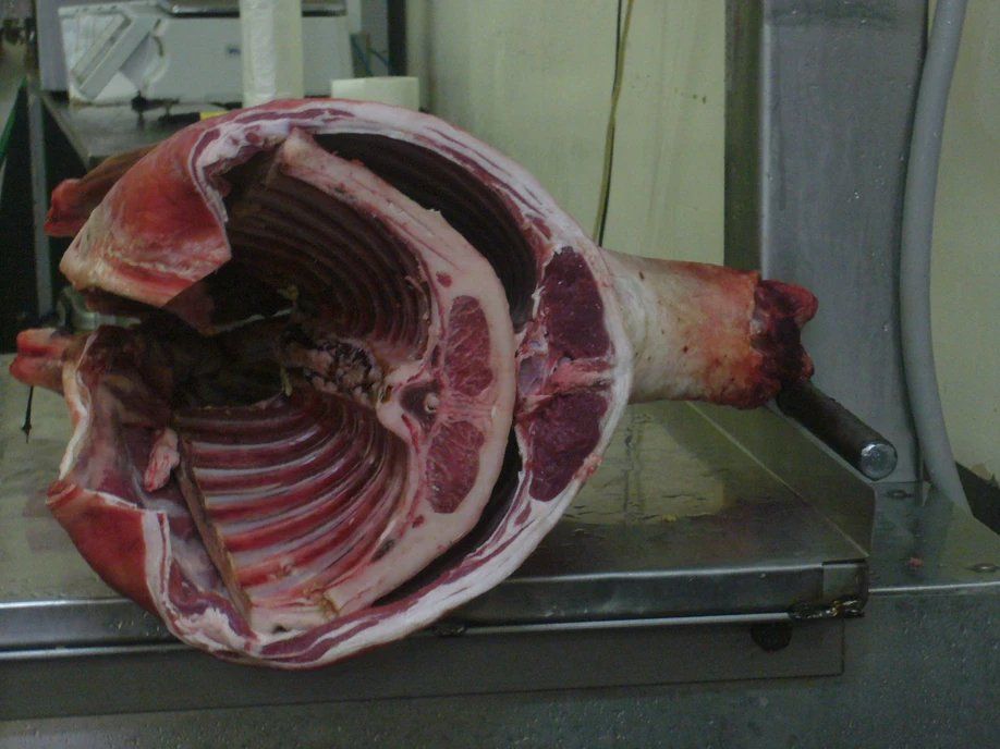 lamb meat