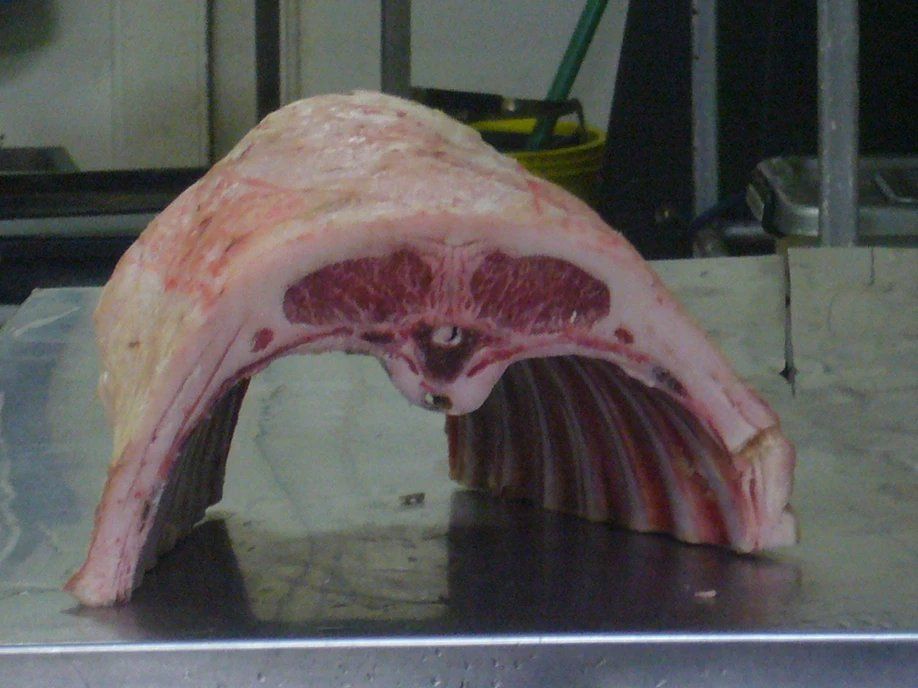 meat lamb