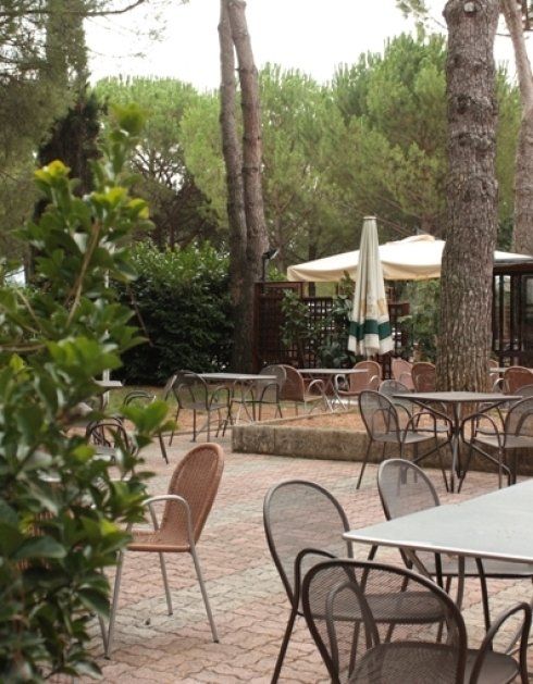 dehors di un ristorante con alberi e piante