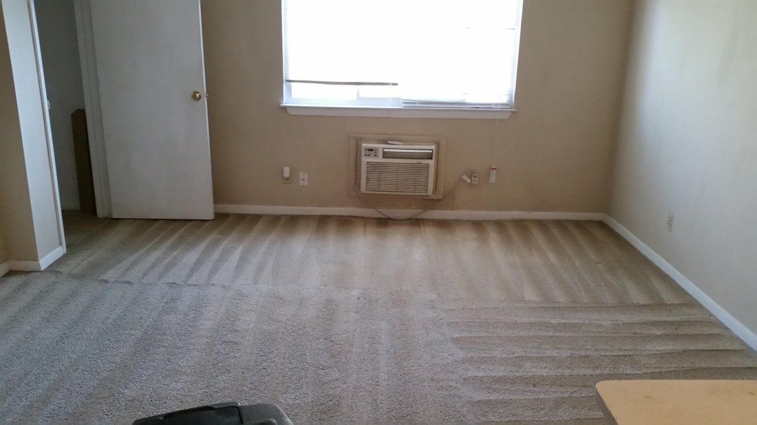 Clean Rug