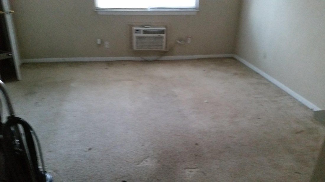 Dirty Carpet