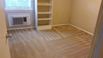 Clean Carpet