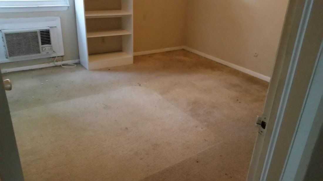 Carpet