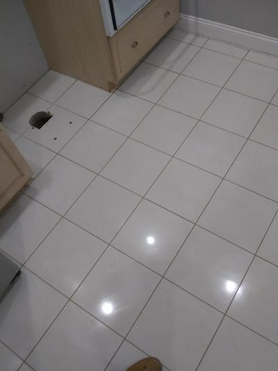 Carpet Cleaning