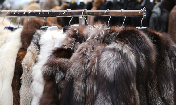 Un appendiabiti con vari cappotti e capi di abbigliamento in pelliccia nelle tonalità del bianco, marrone, grigio e nero.