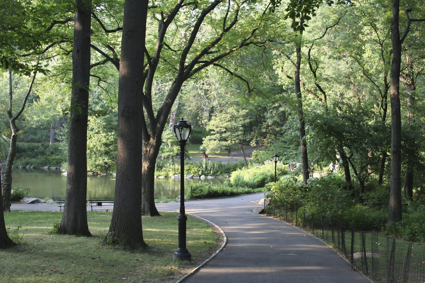 Walking path with tree canopy
