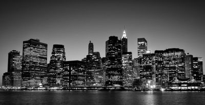 Harlem Skyline