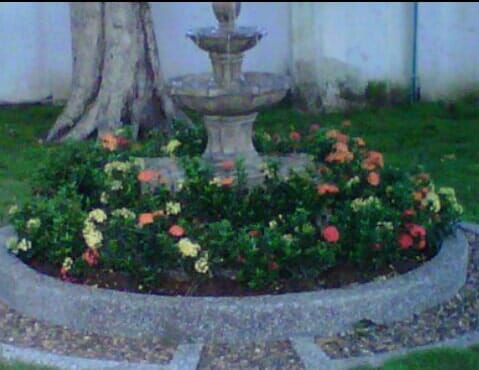 Flower bed with colorful blooms surrounding a stone fountain in a landscaped garden area