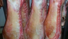 Fresh meat