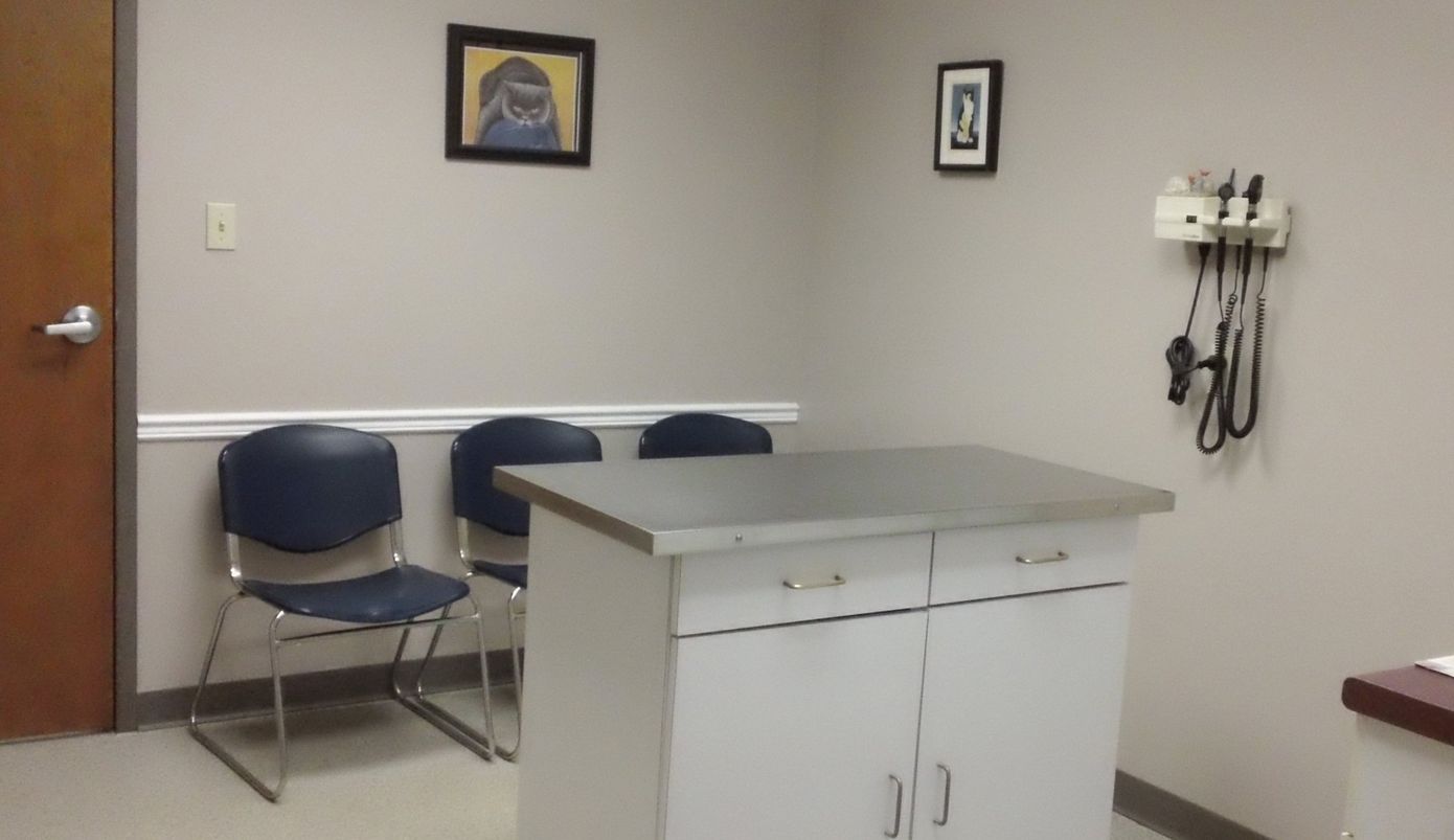 Animal Hospital waiting room - Animal Hospital in Griffith IN