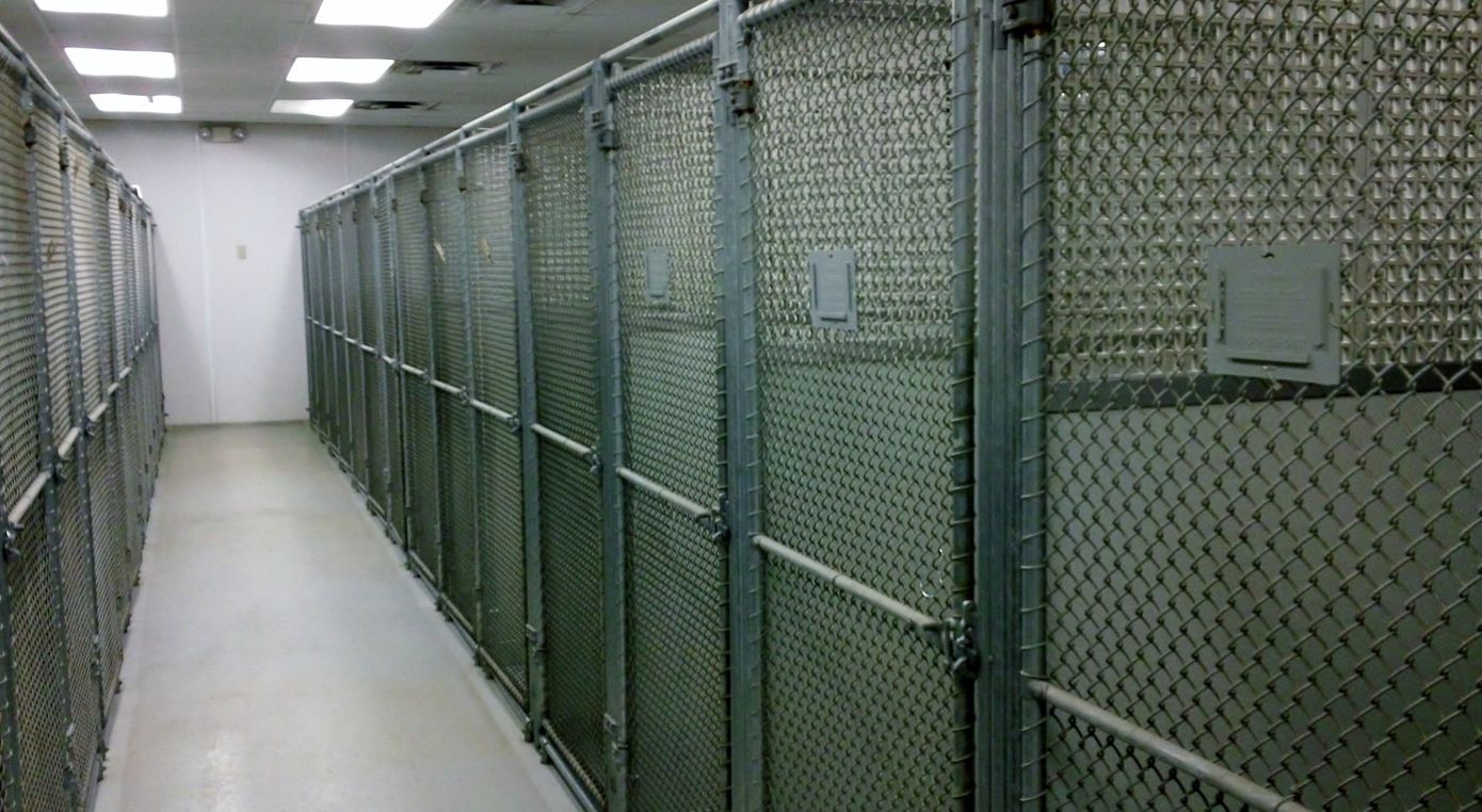 Kennels - Animal Hospital in Griffith IN
