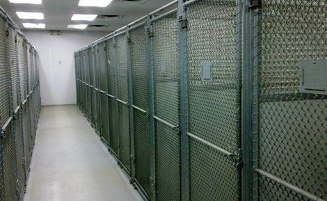 Kennel - Animal Hospital in Griffith, IN Kennel - Animal Hospital in Griffith, IN