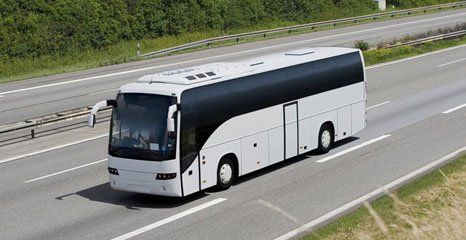 Experienced coach tour operators