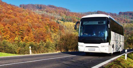 Reliable coach hire