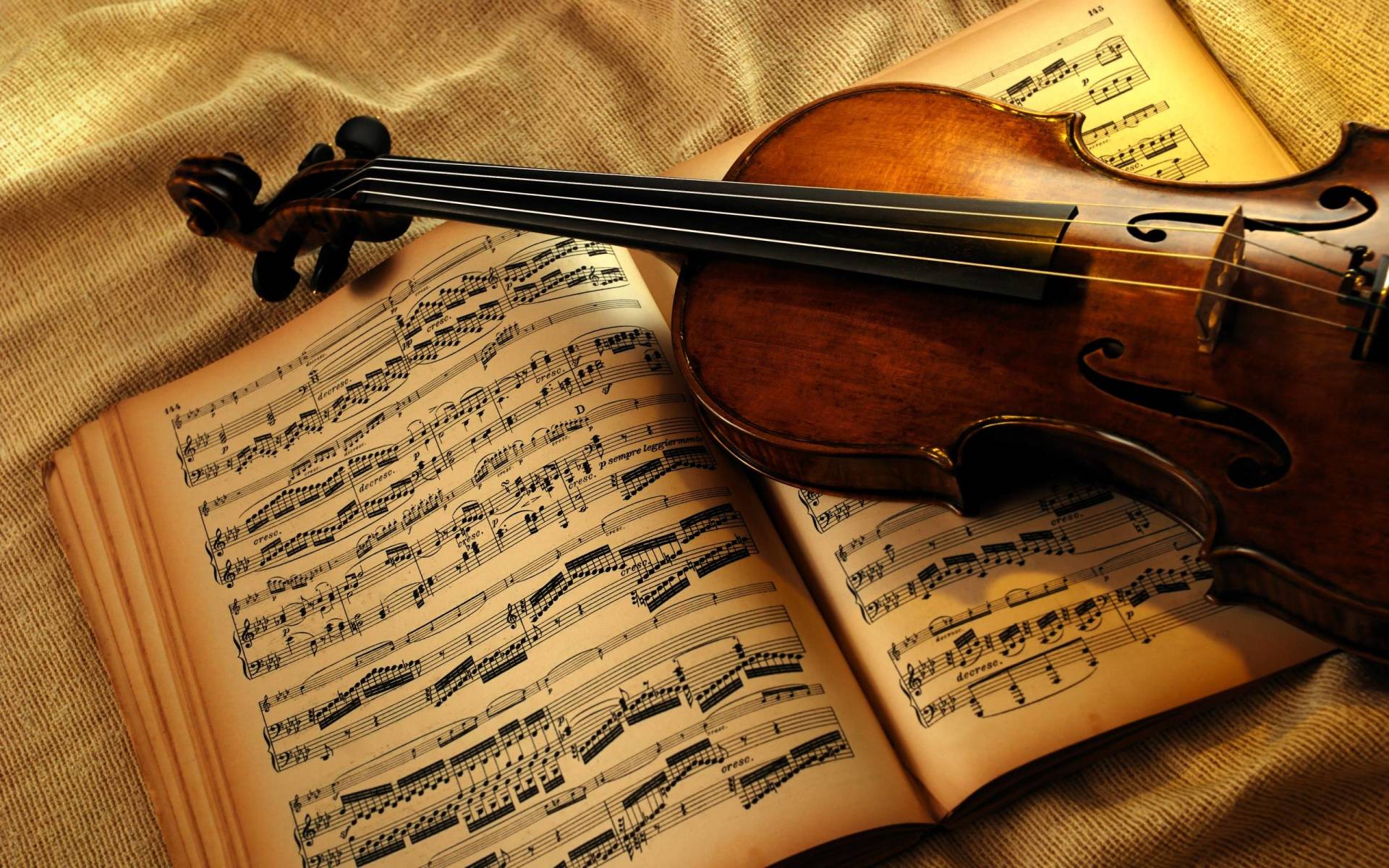 Profesor de violín