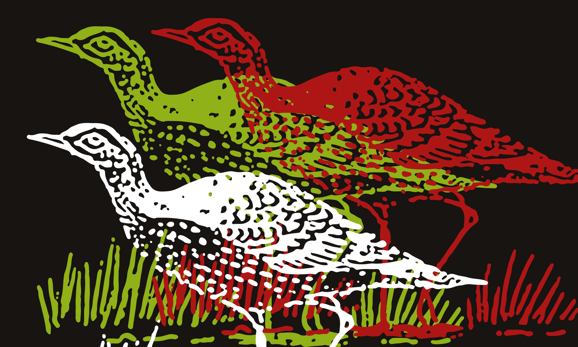 Glenara Wines Illustration