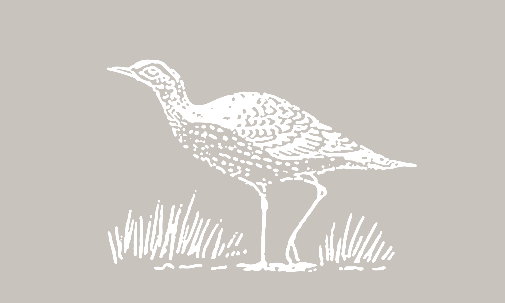 Glenara Wines Illustration