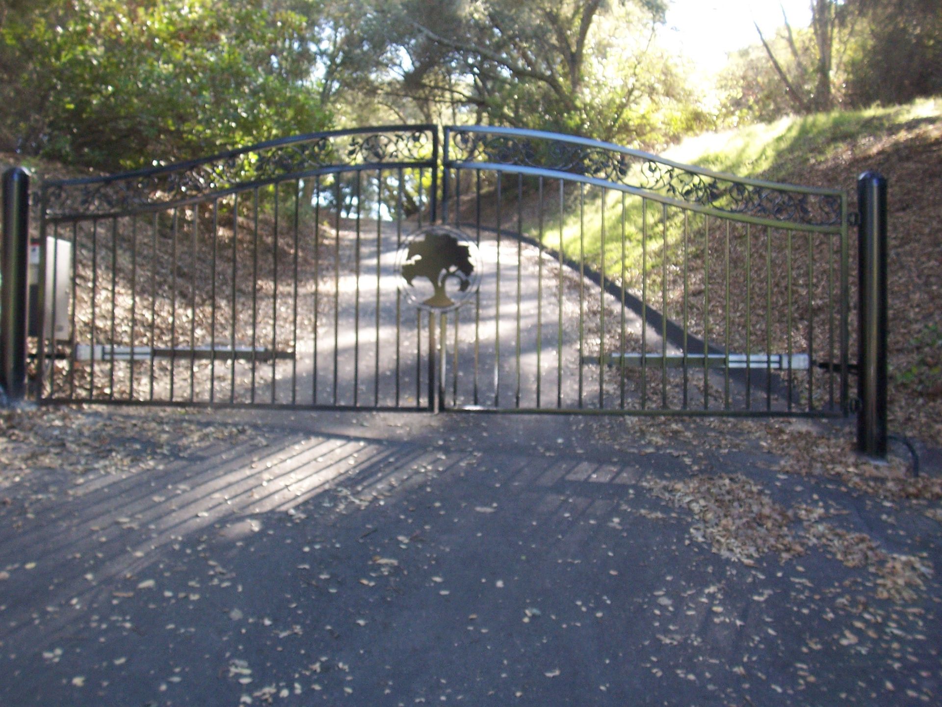 Black wrought iron gate on a paved driveway, set in a wooded area.