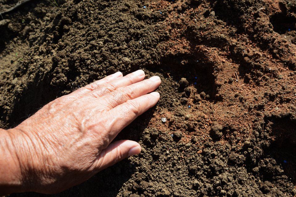 Analisi del terreno con mano per la realizzazione di giardini a Monza