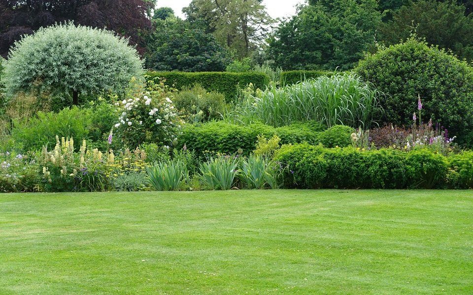 Giardino