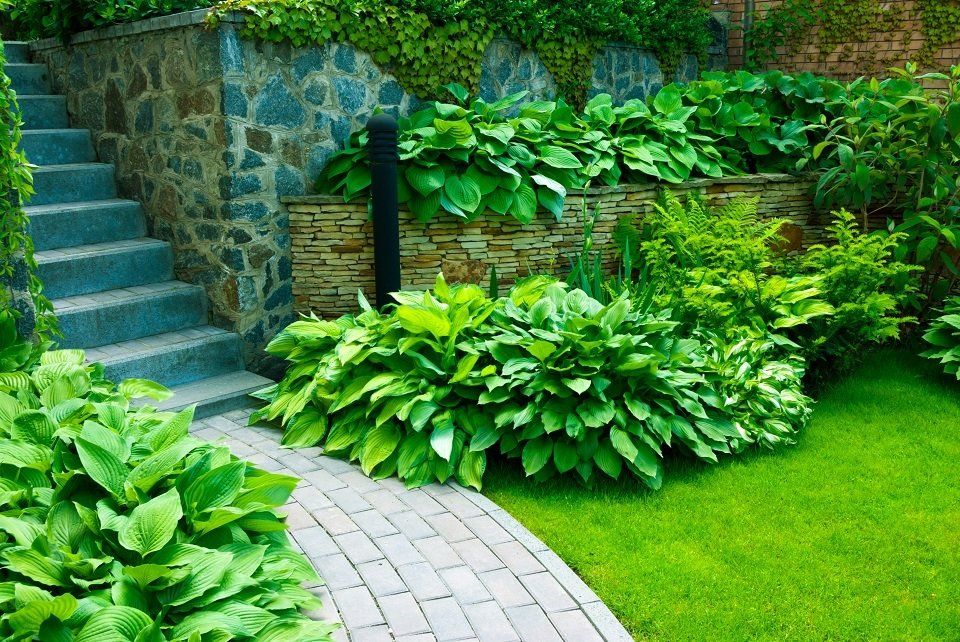Progettazione e realizzazione di giardini a Monza
