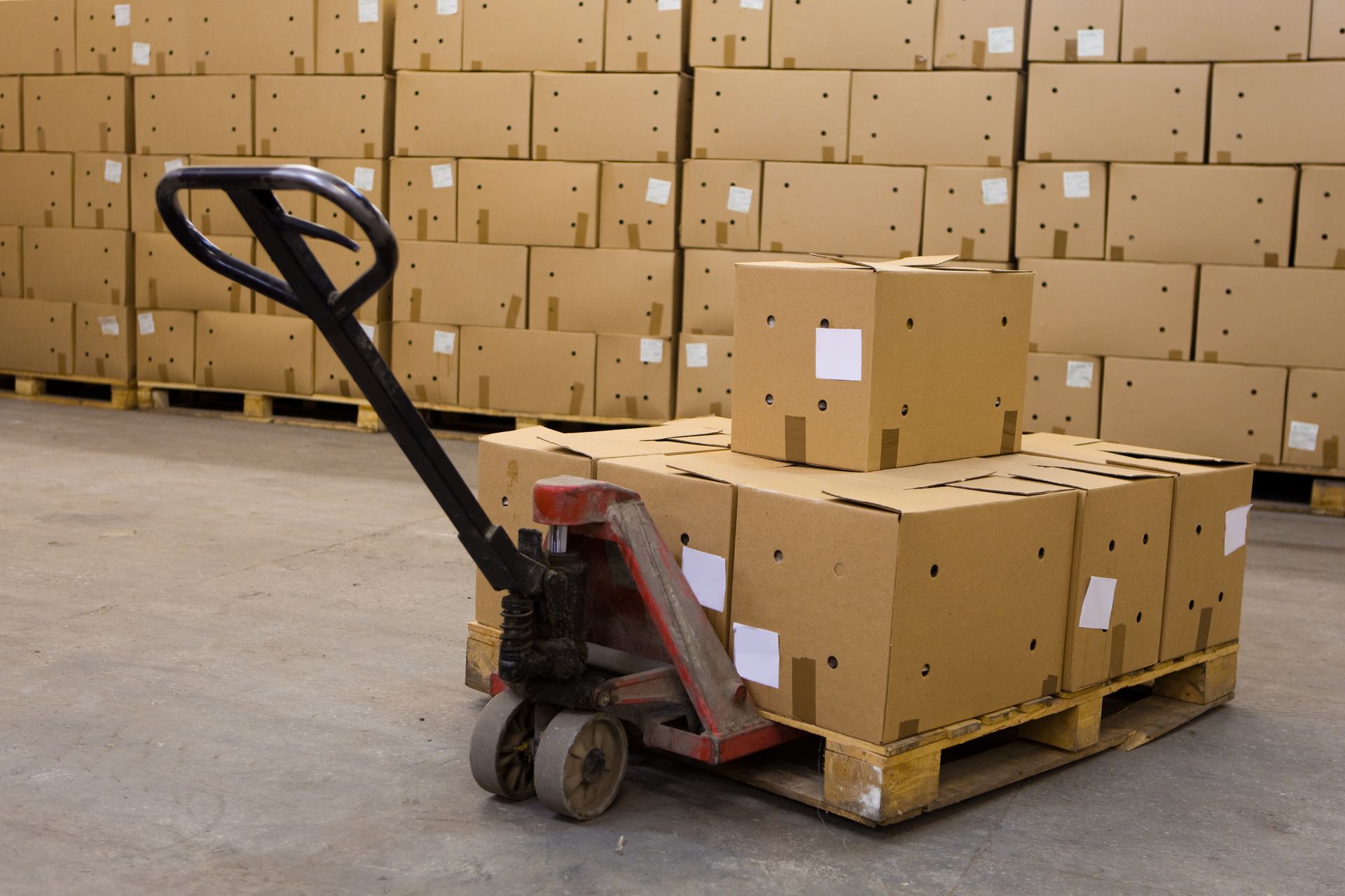 One Stop Shop Lettershop Services: Packaging and Bundling, Post Office Mailers Sorting, Letters Sorting and Inserts Matching, Addresses Labeling, Mailers Chopping and more...