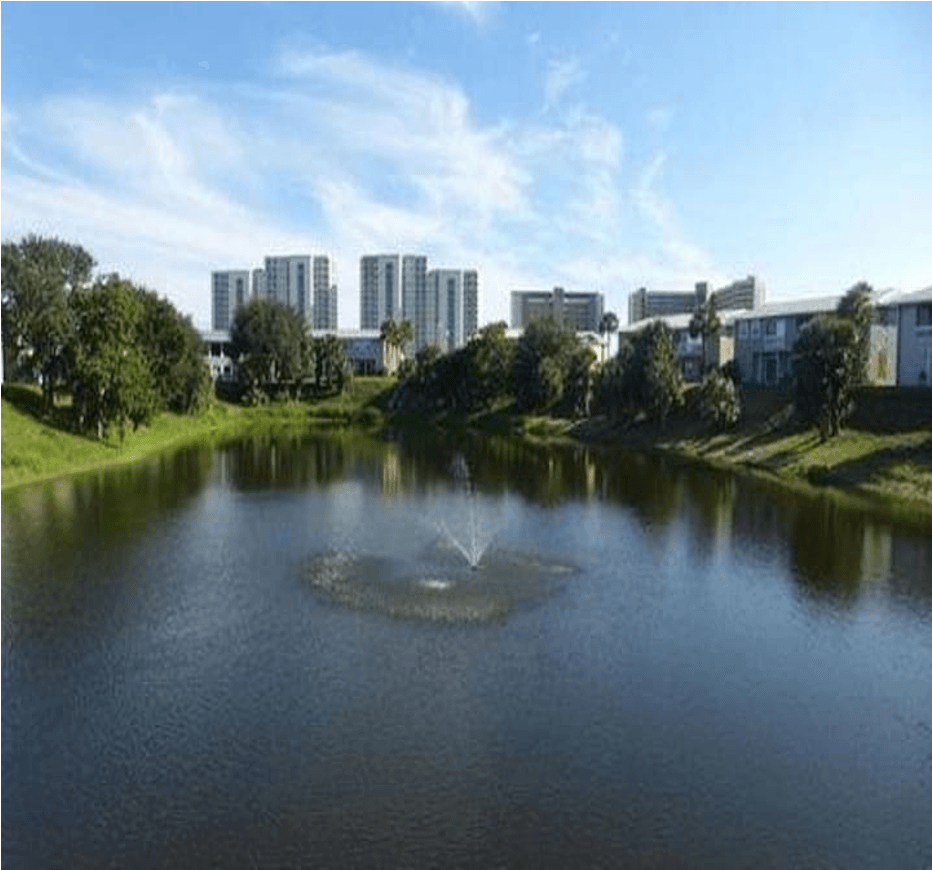 Lake View
