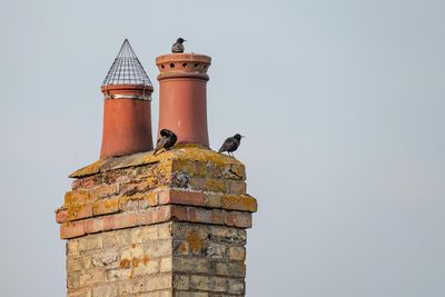Animal Screens — Very Old Twin Chimney with Animal Screen in Orlando FL Animal Screens — Very Old Twin Chimney with Animal Screen in Orlando FL