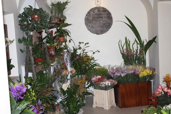 Composizioni floreali con vasi disposti sul pavimento