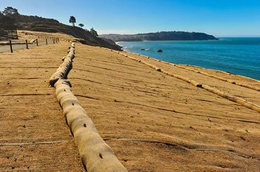 Waterside erosion control