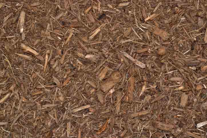 Bahia Grass — Wood Chip Mulch in Baker, FL