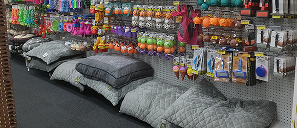Large Range of Dog Beds — Pet Accessories in Alice Springs, NT Large Range of Dog Beds — Pet Accessories in Alice Springs, NT