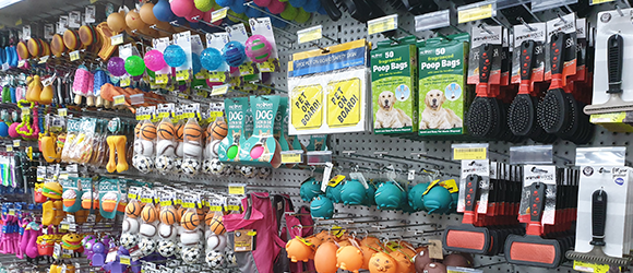 Dog Toys and Grooming Equipment — Pet Accessories in Alice Springs, NT Dog Toys and Grooming Equipment — Pet Accessories in Alice Springs, NT