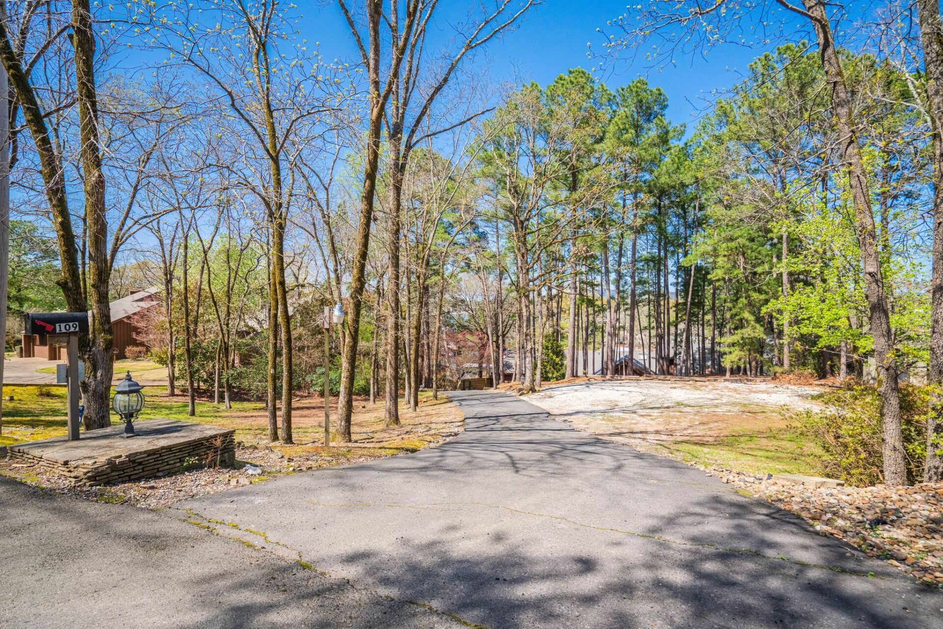 A road going through a forest with trees on both sides.