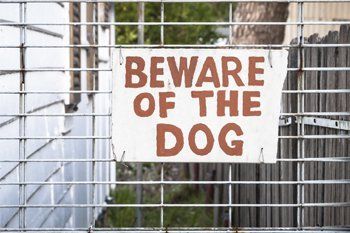 Beware of the dog sign — Personal Injury in Wappingers Falls, NY Beware of the dog sign — Personal Injury in Wappingers Falls, NY