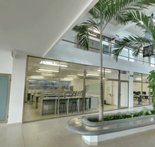 instituto-cesare-cancun-recorrido-virtual-google-street-view-colegios-datalogyx