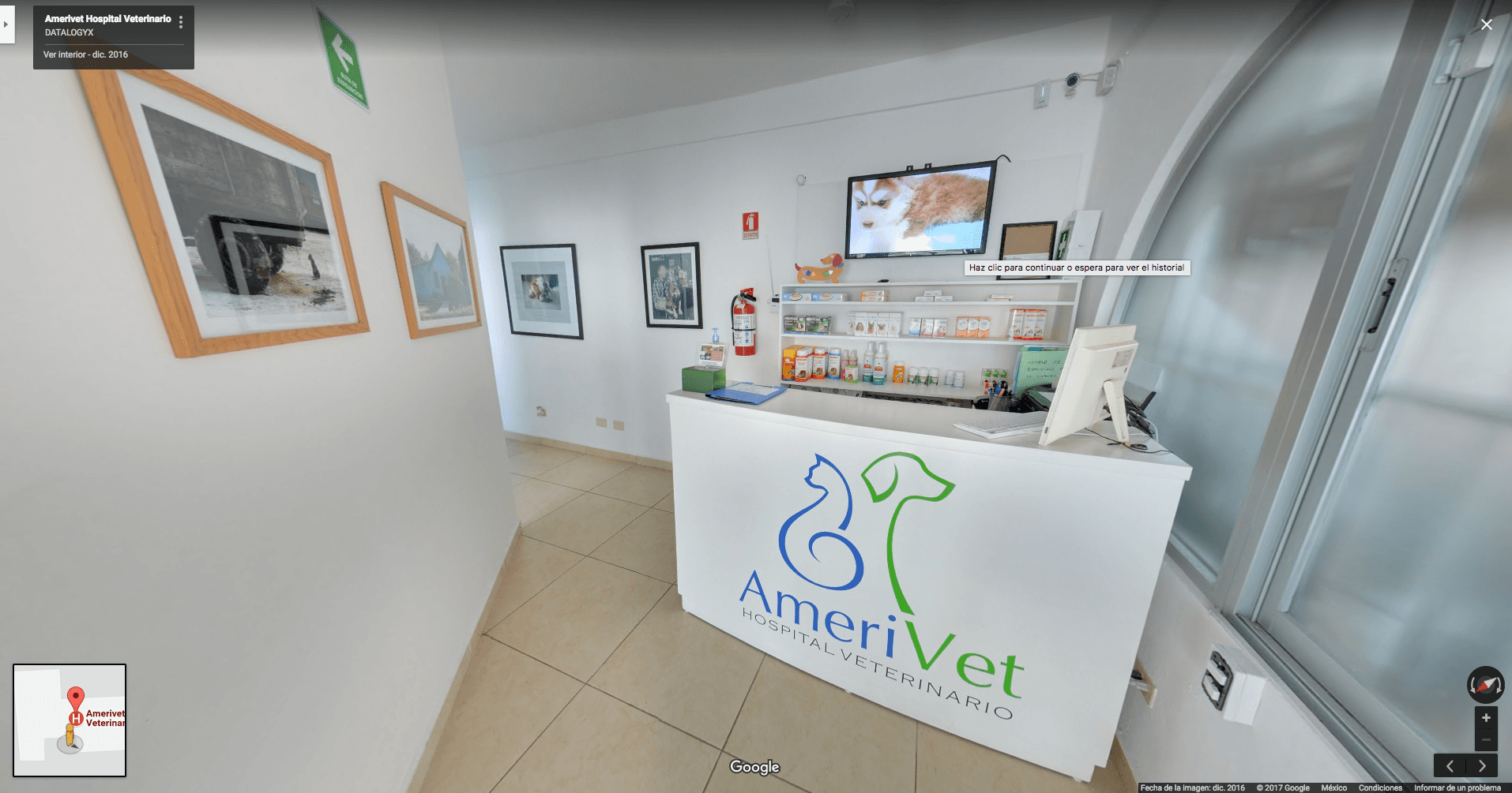 Amerivet-Hospital-Veterinario-recorrido-virtual-google-street-view-clinica-datalogyx