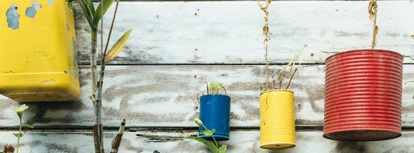 plants in cans