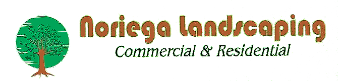 Noriega Landscaping Noriega Landscaping