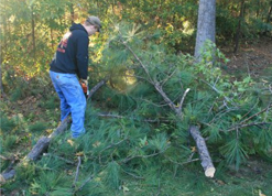 Tree removal services in Eatonton, GA 