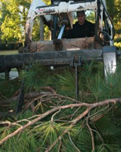 Tree removal services in Eatonton, GA 