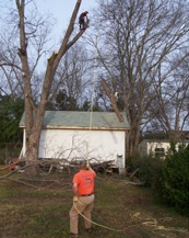 Tree preservation and landscaping services in Eatonton, GA