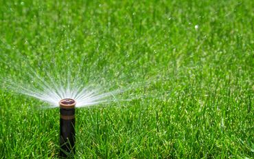 Landscape Maintenance LLC